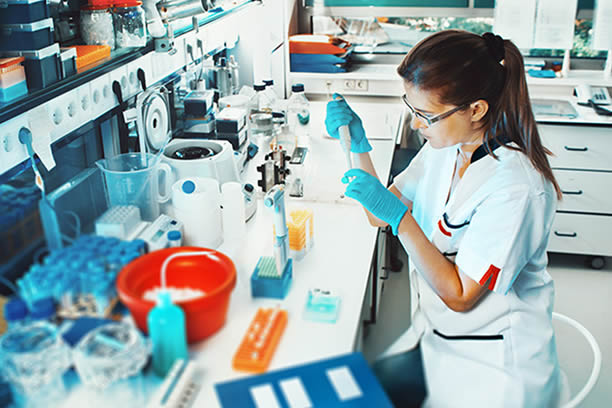 Imagen representativa 2